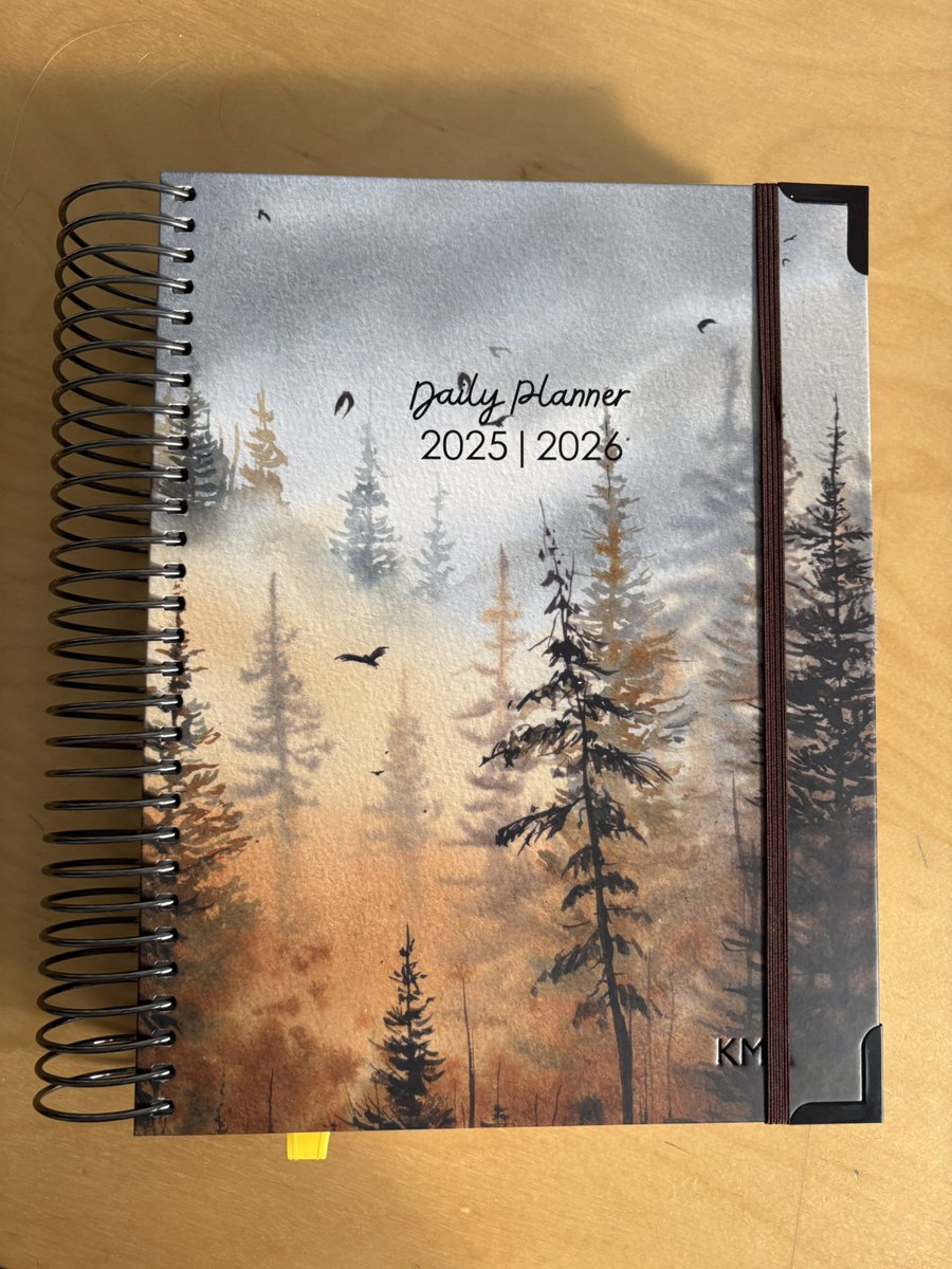 Katie Main tweet media