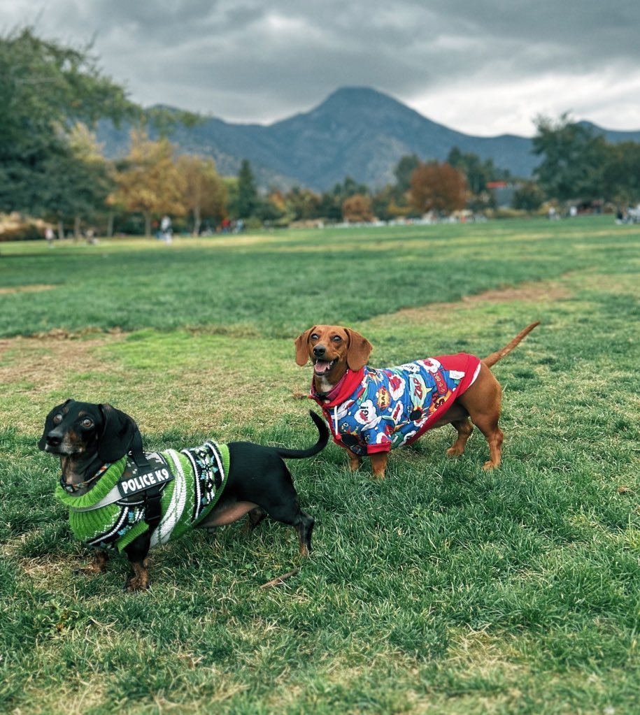 Que quieres? Moda tipica? Moda urbana? Moda Cosplay? Moda de tejidos? 

JAJSAKAJA