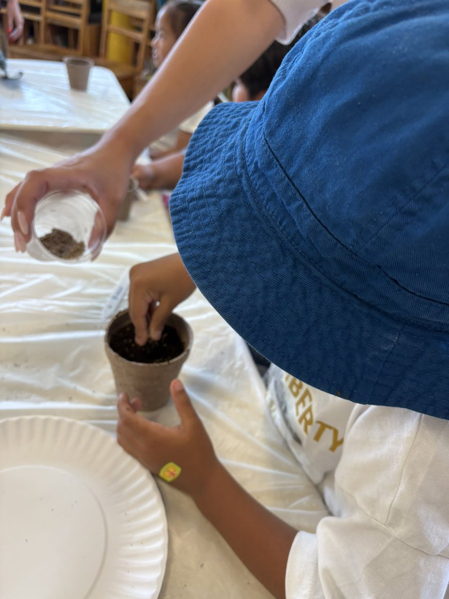 TeacherToronto's tweet image. Planting seeds, learning about different plant parts, and developing our greenthumbs at the @TCDSBSummerLrn Program! Thank you, @HomeDepotCanada for making this activity possible! @TCDSB #TCDSBslp2025