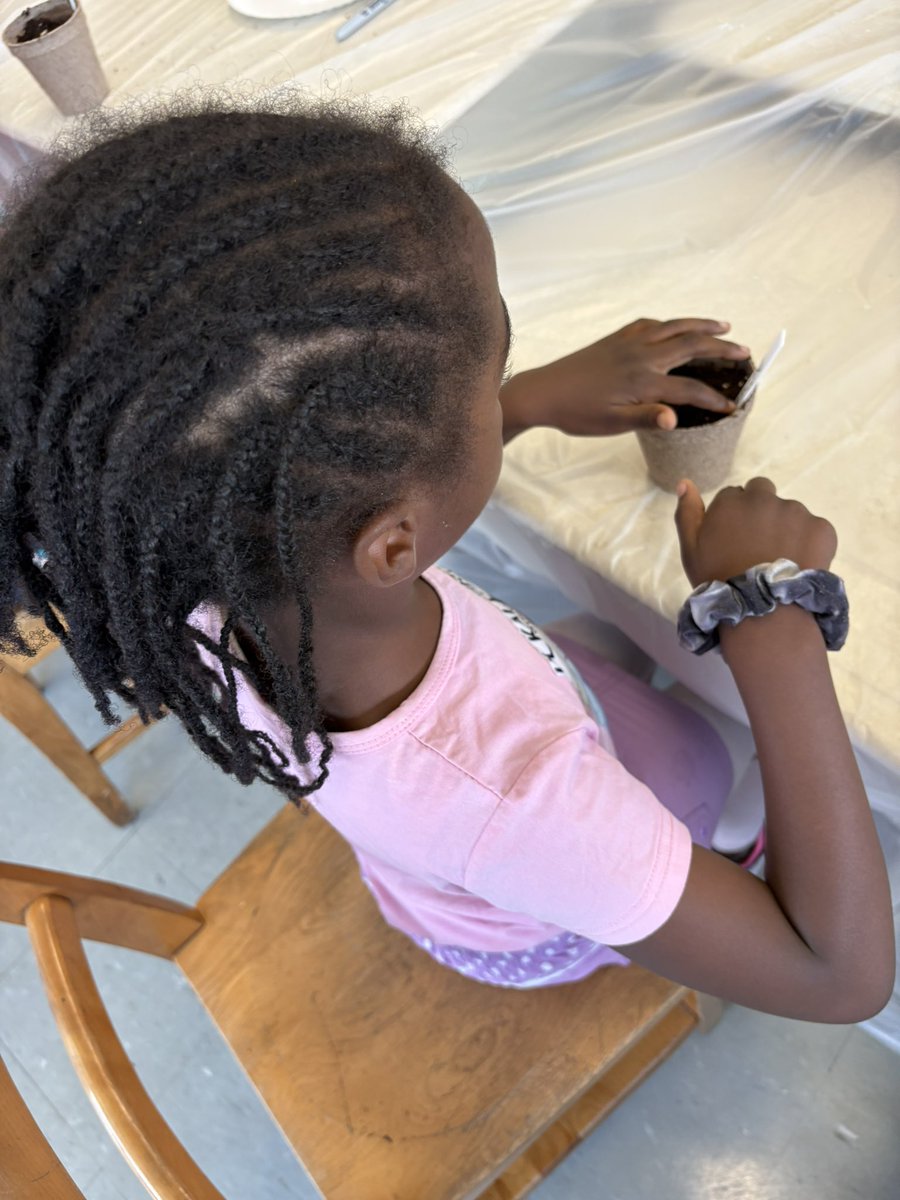 TeacherToronto's tweet image. Planting seeds, learning about different plant parts, and developing our greenthumbs at the @TCDSBSummerLrn Program! Thank you, @HomeDepotCanada for making this activity possible! @TCDSB #TCDSBslp2025