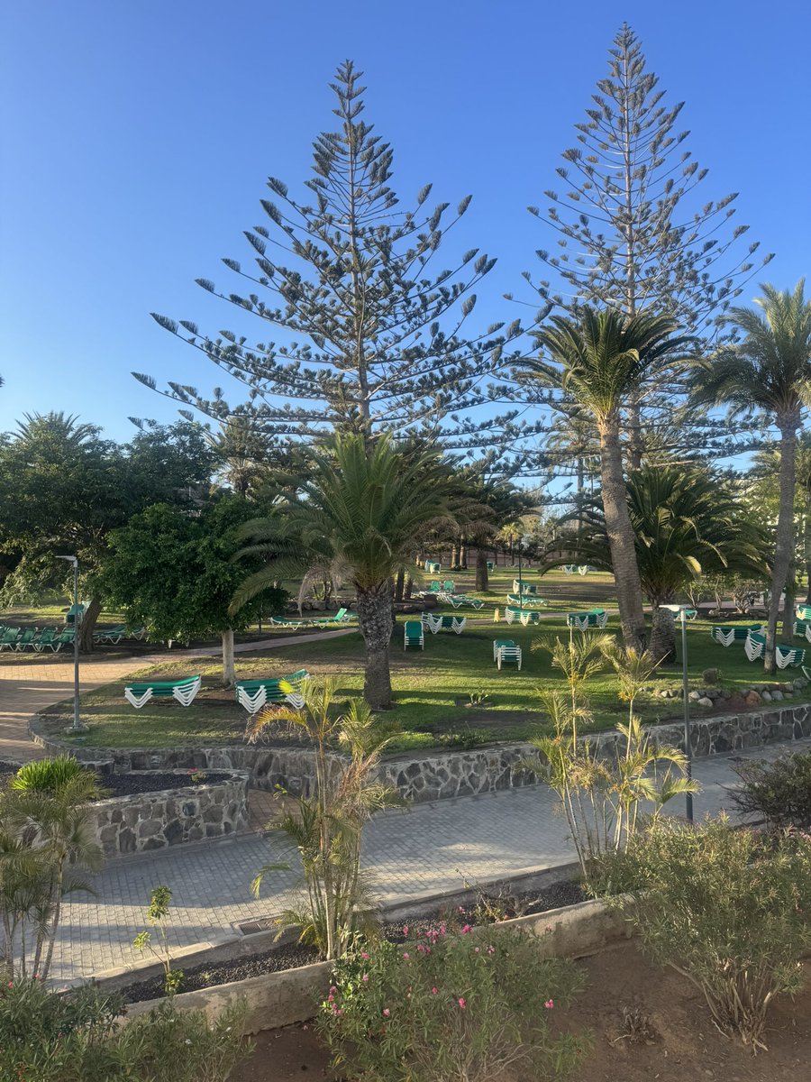 Ste Robinson tweet media