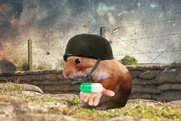 <a href="/a1lon9/">alon</a> Trenches are cooking, nomnom is going to eat good, nom nom nom...