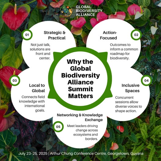 The UN is proud to participate in 🇬🇾's Global Biodiversity Alliance Summit. From 23 to 26 July, leaders, scientists, Indigenous voices, and innovators will gather around one urgent goal: protecting 30% of the world’s land and oceans by 2030.

<a href="/UNBiodiversity/">UN Biodiversity</a> <a href="/JeanKamau/">Jean Kamau</a>