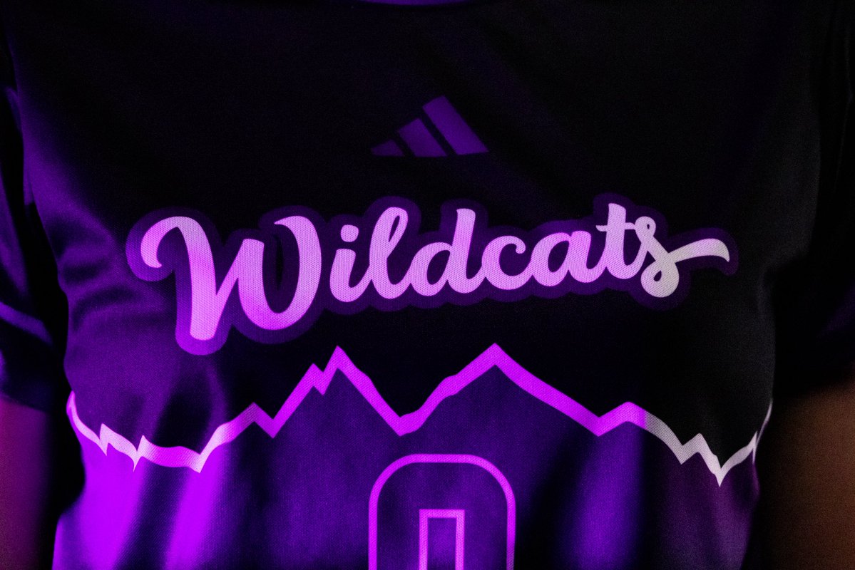 wsusoccer's tweet image. 𝓣𝓱𝓮 𝓭𝓮𝓽𝓪𝓲𝓵𝓼

#WeberStateGreat