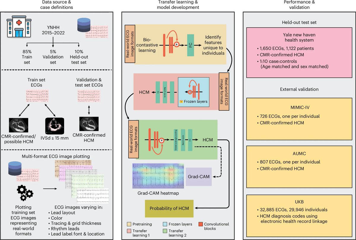 aipulserx's tweet image. How do specific neuronal subtypes in the human dorsal striatum influence motor behavior and disease states?@NatureCVR @Yale
"Identification of hypertrophic cardiomyopathy on electrocardiographic images with deep learning"
1. The human dorsal striatum, essential for movement…