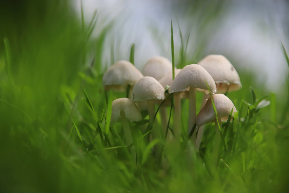 Vidmantas Karpis (@karpis315) on Twitter photo 