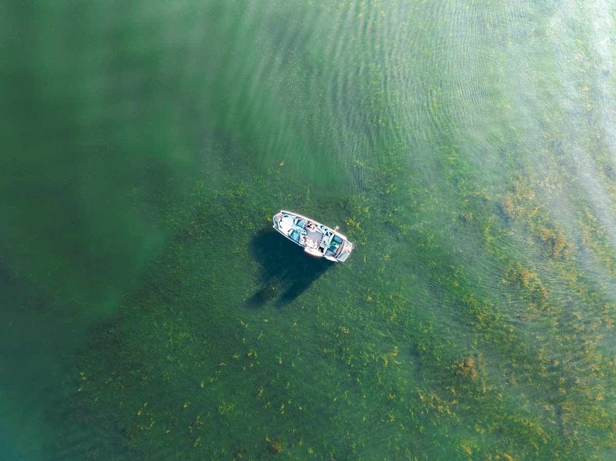 MoveUpPG's tweet image. Boating around Prince George means exploring a network of pristine lakes—perfect for paddling, fishing, or floating the day away. Whether you're launching from a quiet cove or cruising into golden hour, PG’s lake life is second to none. Where’s your favourite spot to drop anchor?