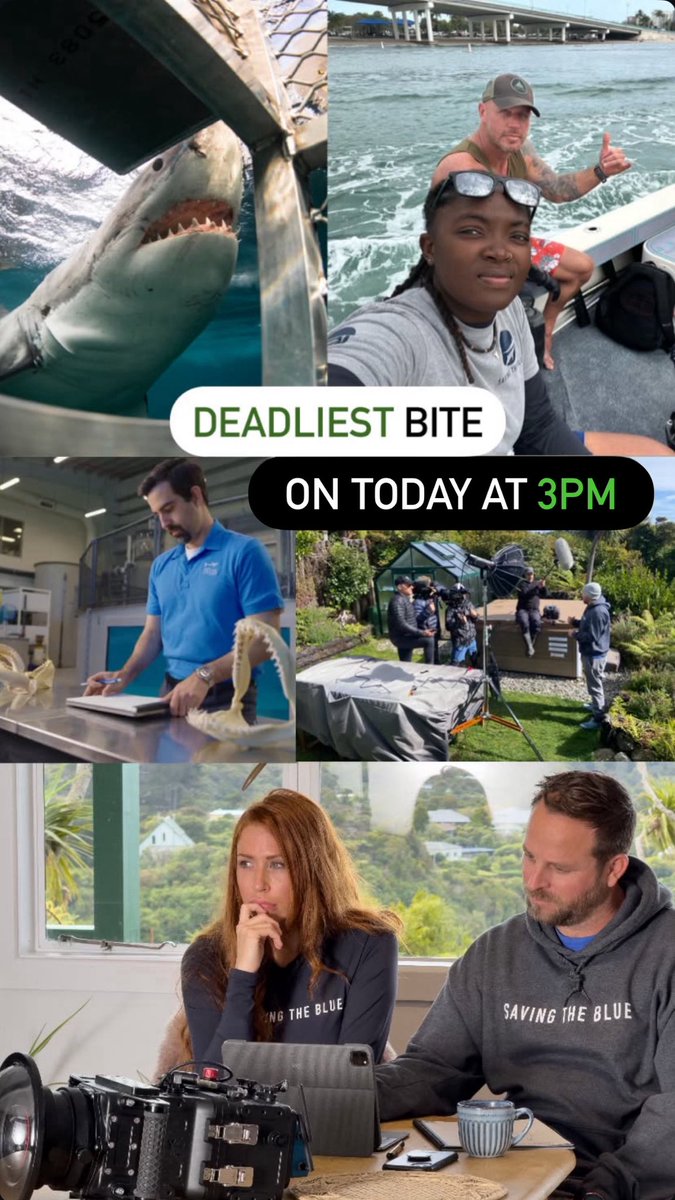 savingtheblue's tweet image. Starting right now on Shark Week! 🦈 Catch our very own @annieguttridge & @DrGuttridge on #DeadliestBite