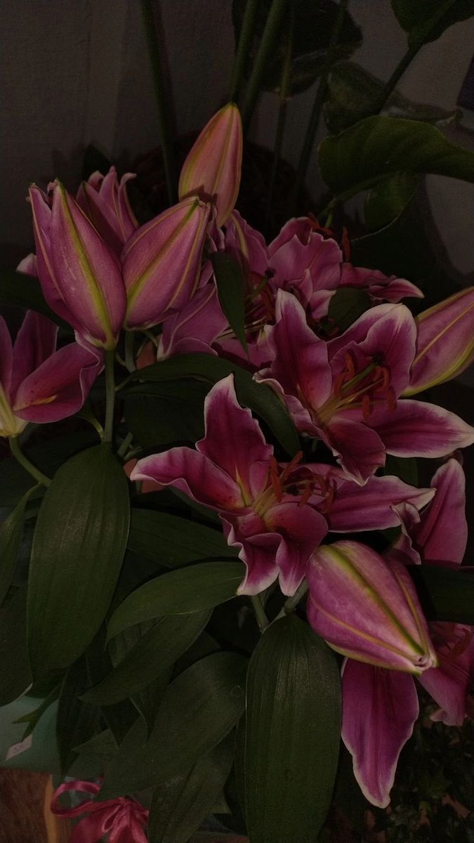 prettythikra's tweet image. 