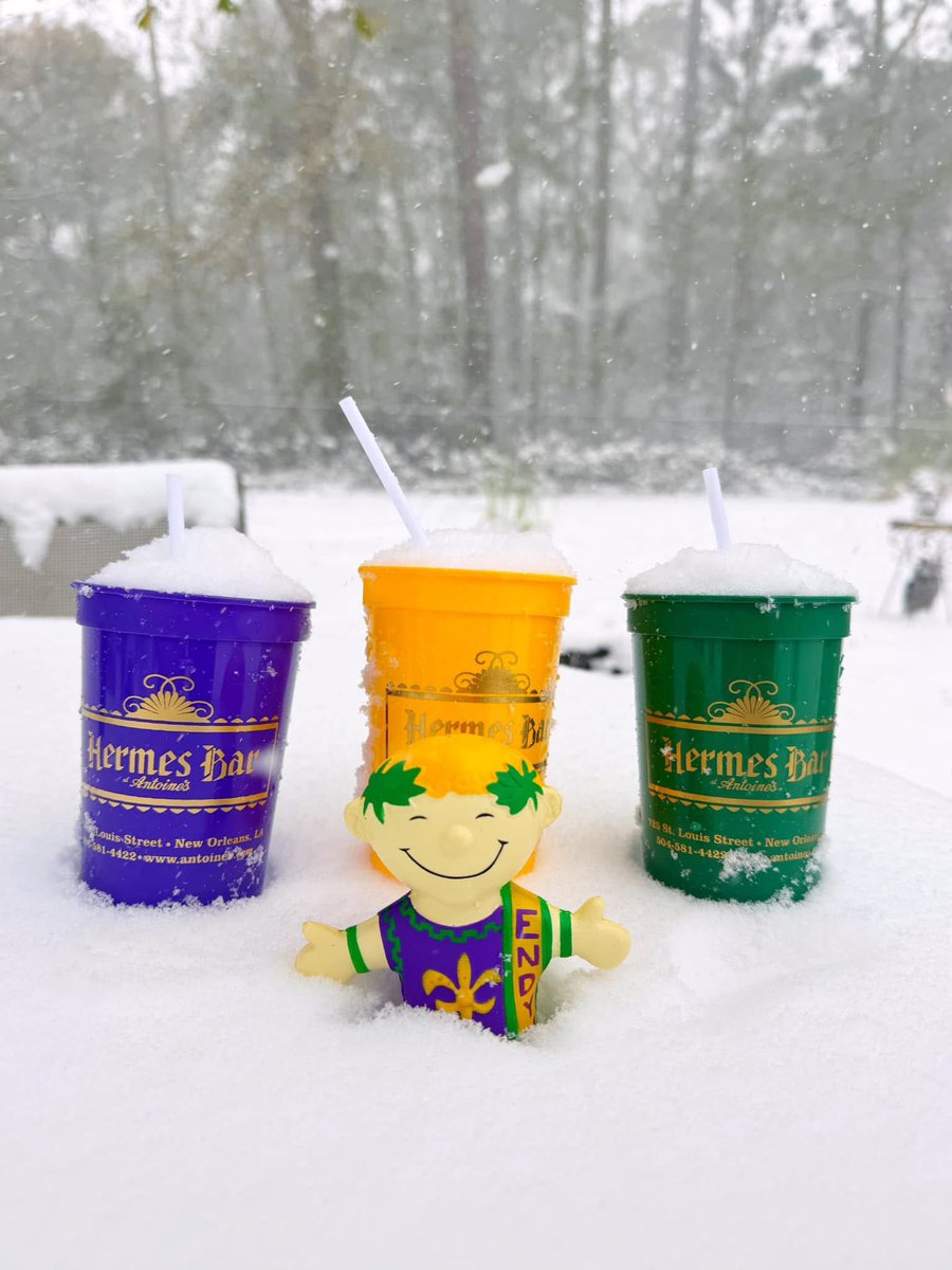 DavidMora's tweet image. 6 months ago yesterday, we had record snow in South Louisiana… ☃️❄️