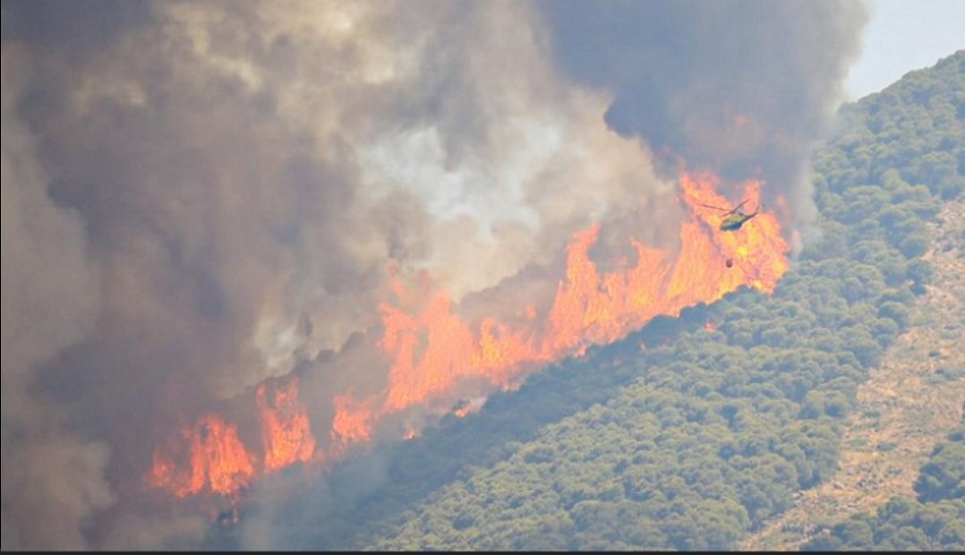 ➡️ De los tres elementos necesarios para que un #incendioforestal 🔥 se declare, solo podemos trabajar sobre uno de ellos 👉 el  #combustible 🪵🌳.
🔹 Por ello, es necesario una adecuada #gestionforestalsostenible.