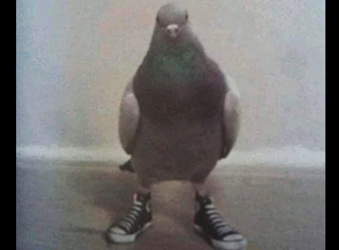 augmentoor tweet media