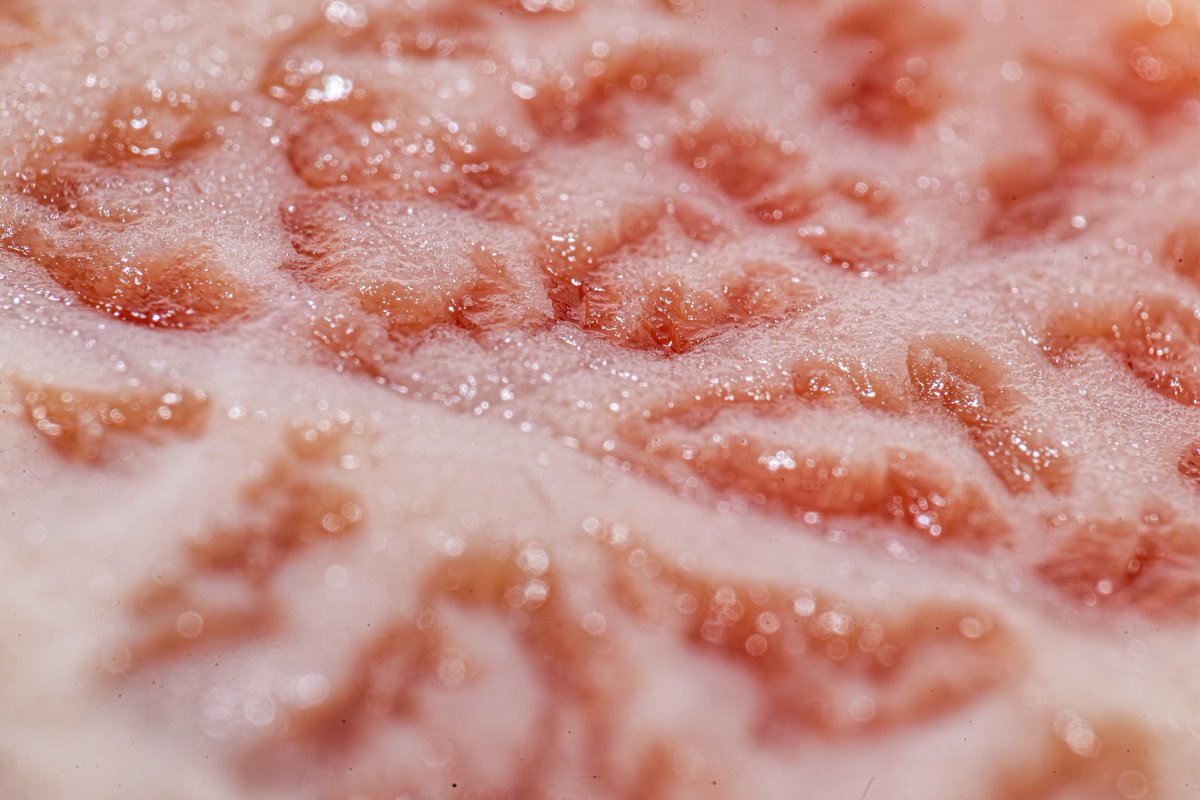 wagyu macro shots