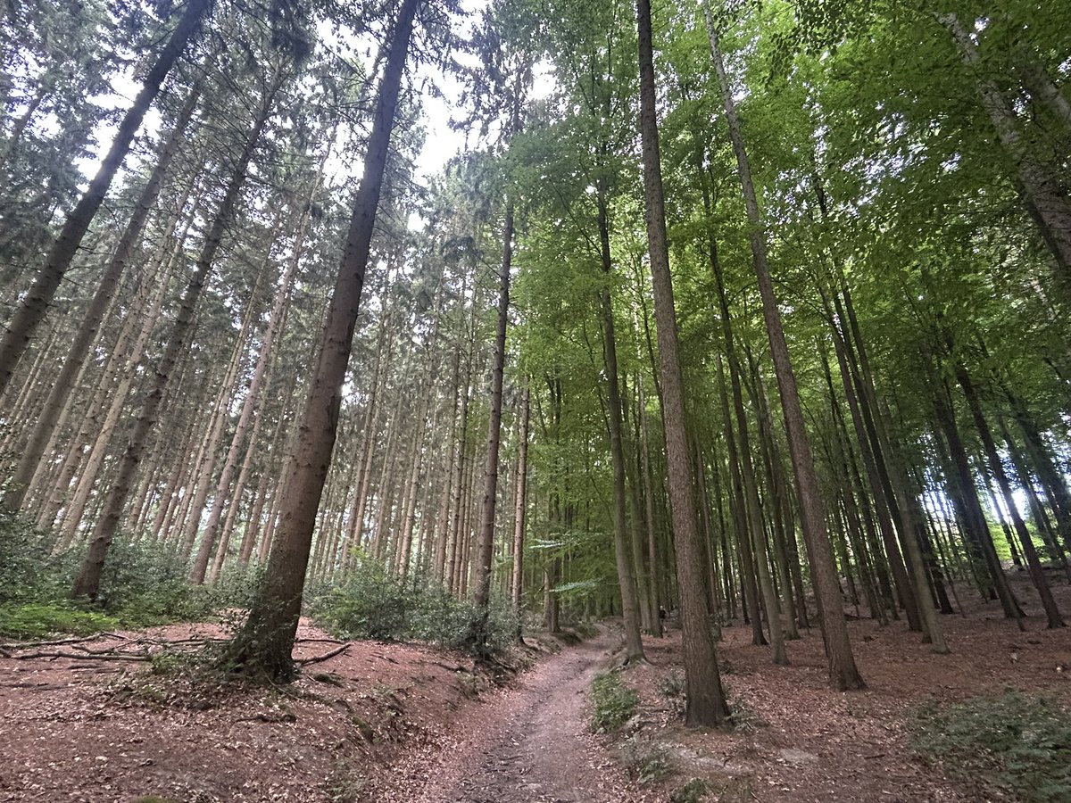 euro_tour's tweet image. 🇩🇪ドイツ、アーヘン
ドライレンダーエック。
ドイツ、オランダ、ベルギー3国の国境が交わる地点へ、ドイツ側からハイキング。
#Aachen #Dreiländereck