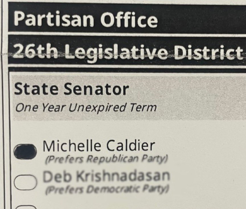 UnderWashington's tweet image. 🚨 WASHINGTON 2025 Special Election🚨
Two swing districts can be won if we vote.
1️⃣Check voter registration at current address 👉 shorturl.at/Y2dIN
2️⃣Get Registered 👉 shorturl.at/hMcki
3️⃣ VOTE
🔴Chad @Magendanz 👉 LD5
🔴Michelle @MichelleCaldier 👉LD 26