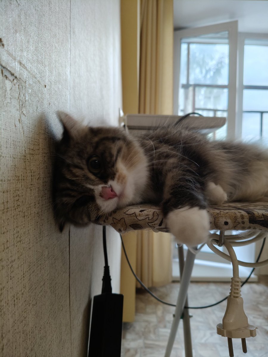 too_cute_dude's tweet photo. Твое лицо когда мать-злыдень не разрешила жевать провода https://t.co/BtqjBNyCXu
