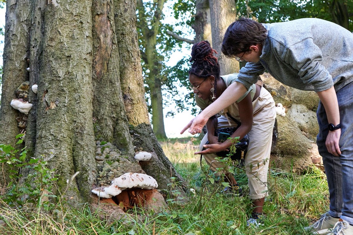 📢 <a href="/NaturalEngland/">Natural England</a>  are recruiting 2 Non-Executive Board Members:
1️⃣ Deputy Chair 
2️⃣ Planning Expert

If you have strong leadership, strategic judgement &amp; stakeholder skills

Apply by midday 9 Sept 👉
…for-public-appointment.service.gov.uk/roles/8897

#Nature #Leadership #PublicAppointments #Defra