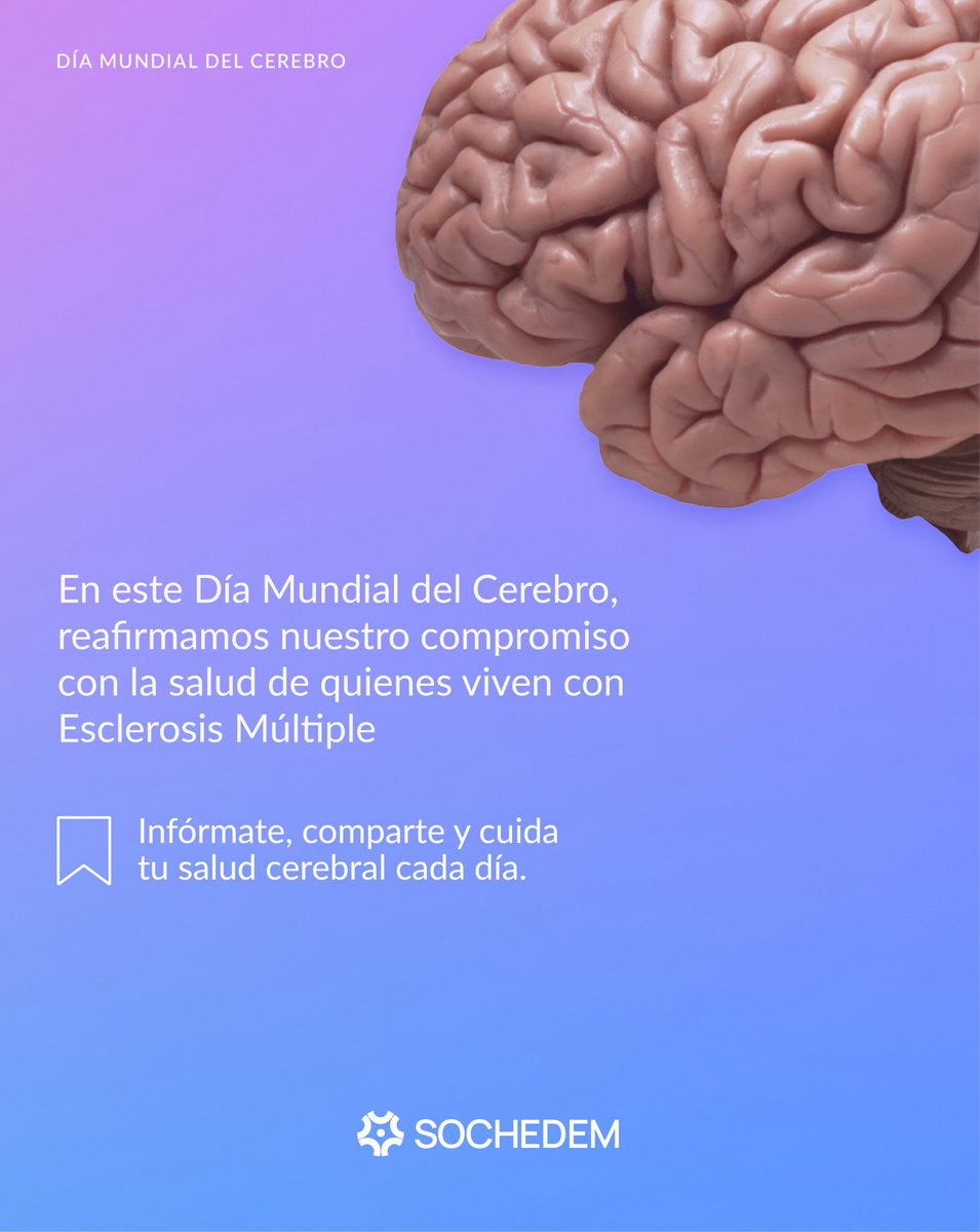 En el #DíaMundialDelCerebro, si vives con #EsclerosisMúltiple
•Controla tus comorbilidades por tu cerebro
•Actividad física: cerebro feliz
•Fumar daña tu cerebro, más aún con EM
•Conecta con otros, cuida tu mente
•No olvides controles y tratamiento🧠 #SaludCerebral #SOCHEDEM