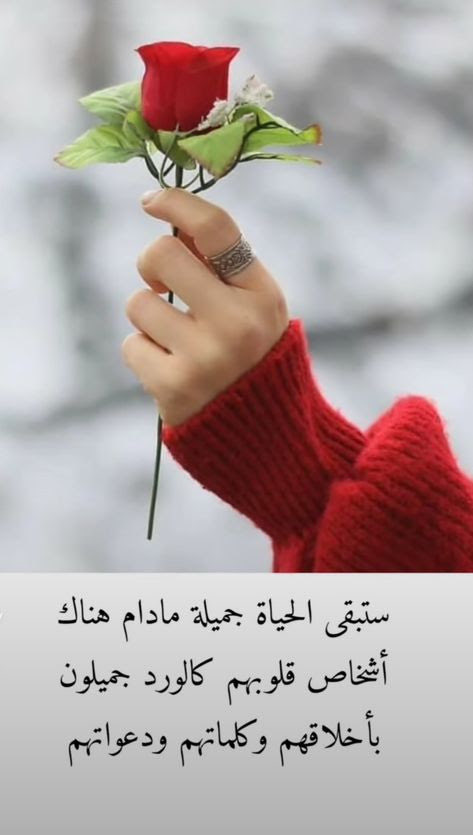 مساء الخير والسعادة والرضا والسرور لأهل القلوب الطيبة 🌹🌹