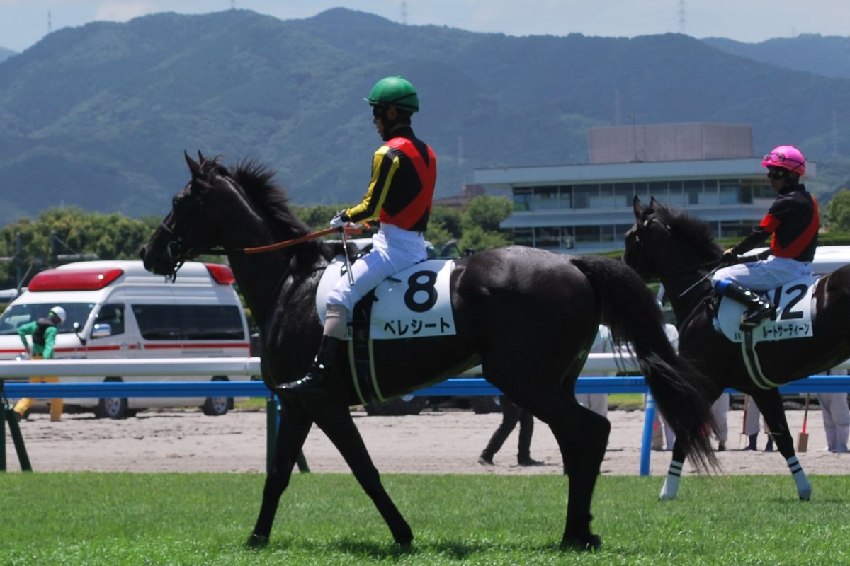 blackstar26er's tweet photo. 2025.7.20　小倉競馬場
べレシート　本馬場 https://t.co/gUX2pCDBf9