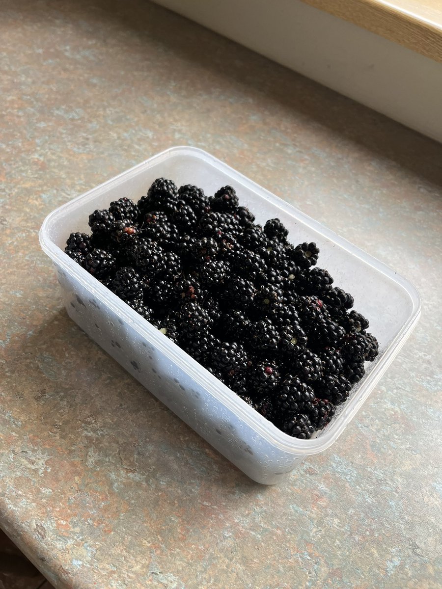 andysims4049's tweet image. First brambling session of the year &amp;amp; it’s still only July. Just over 1kg. Bramble crumble tonight 👍#foodforfree