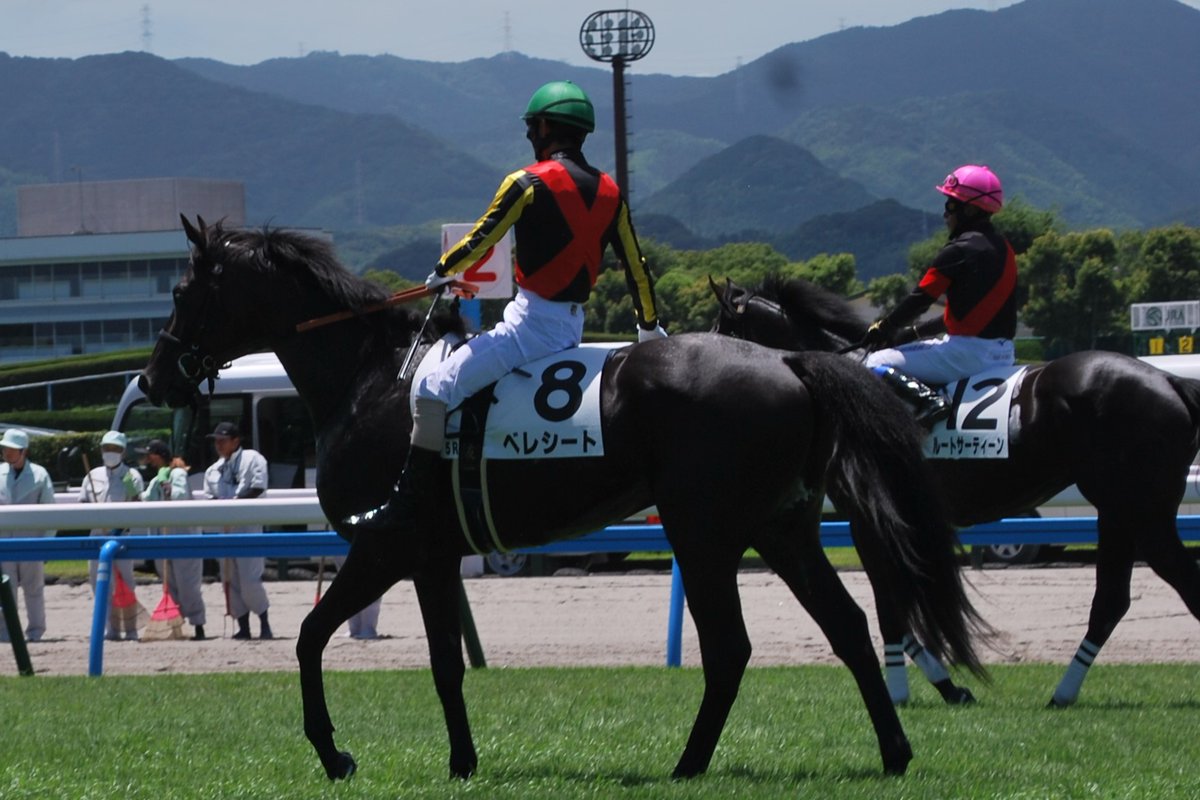 blackstar26er's tweet photo. 2025.7.20　小倉競馬場
べレシート　本馬場 https://t.co/gUX2pCDBf9