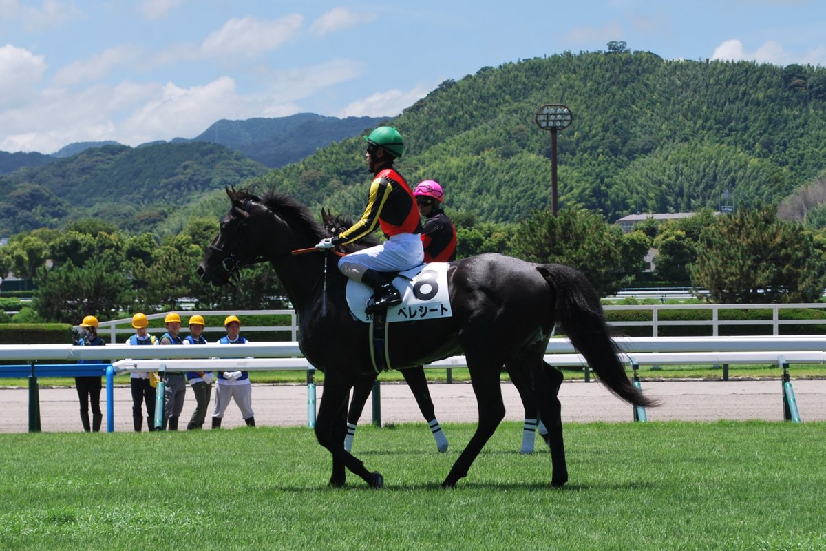 blackstar26er's tweet photo. 2025.7.20　小倉競馬場
べレシート　本馬場 https://t.co/gUX2pCDBf9