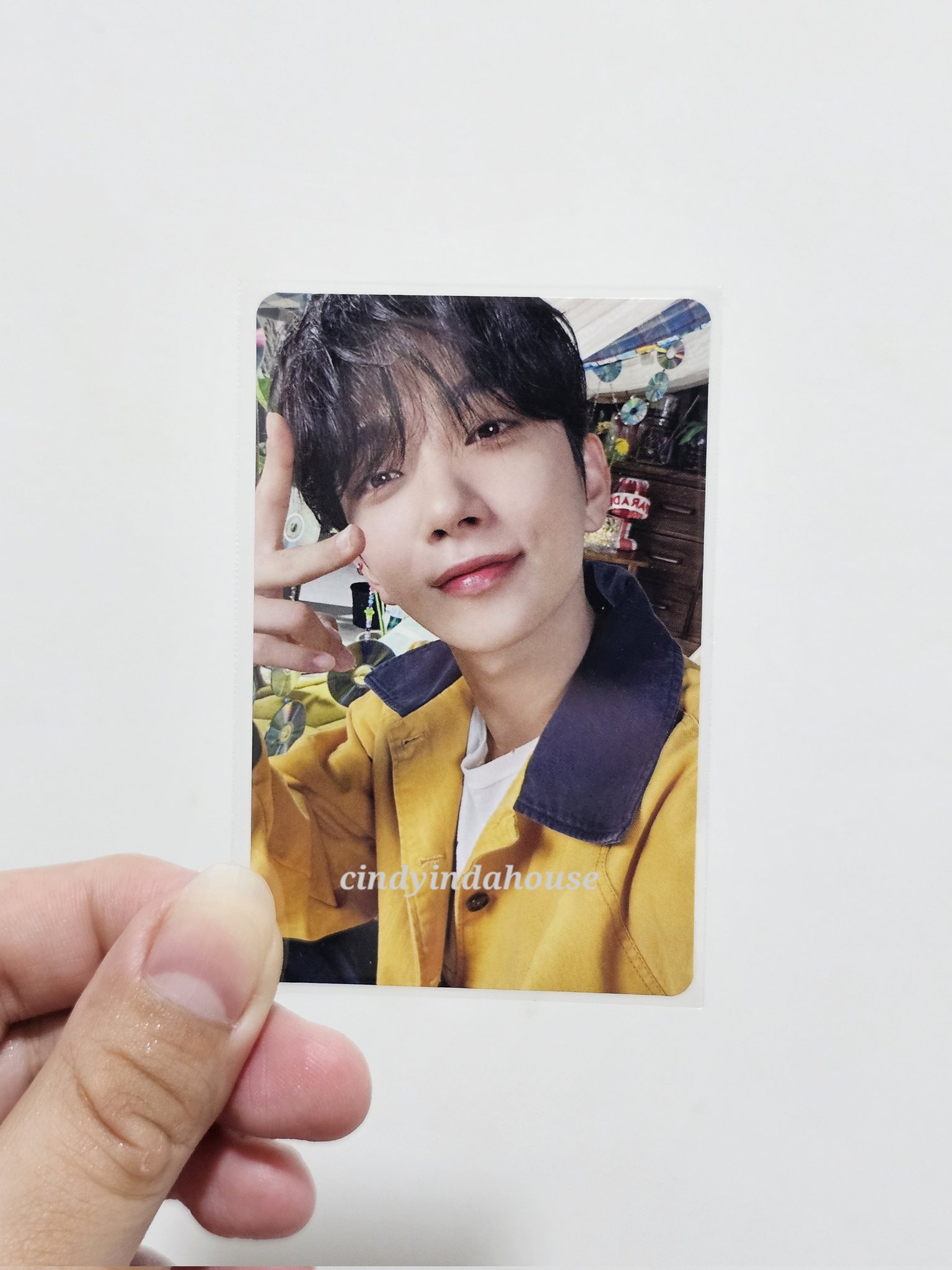 cindy || met SVT ✨️ on X: 