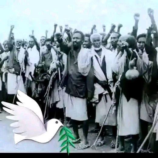 MasharadaSolo's tweet image. #ChallengeChallenge #ChallengeAccepted
ኣብ ጎኒ ህዝቢ ራያን  ምምሕዳር ዞባ ደቡብን እየ
ኣብ ጎኒ ህዝቢ ራያን  ምምሕዳር ዞባ ደቡብን እየ
ኣብ ጎኒ ህዝቢ ራያን  ምምሕዳር ዞባ ደቡብን እየ
ኣብ ጎኒ ህዝቢ ራያን  ምምሕዳር ዞባ ደቡብን እየ
ኣብ ጎኒ ህዝቢ…