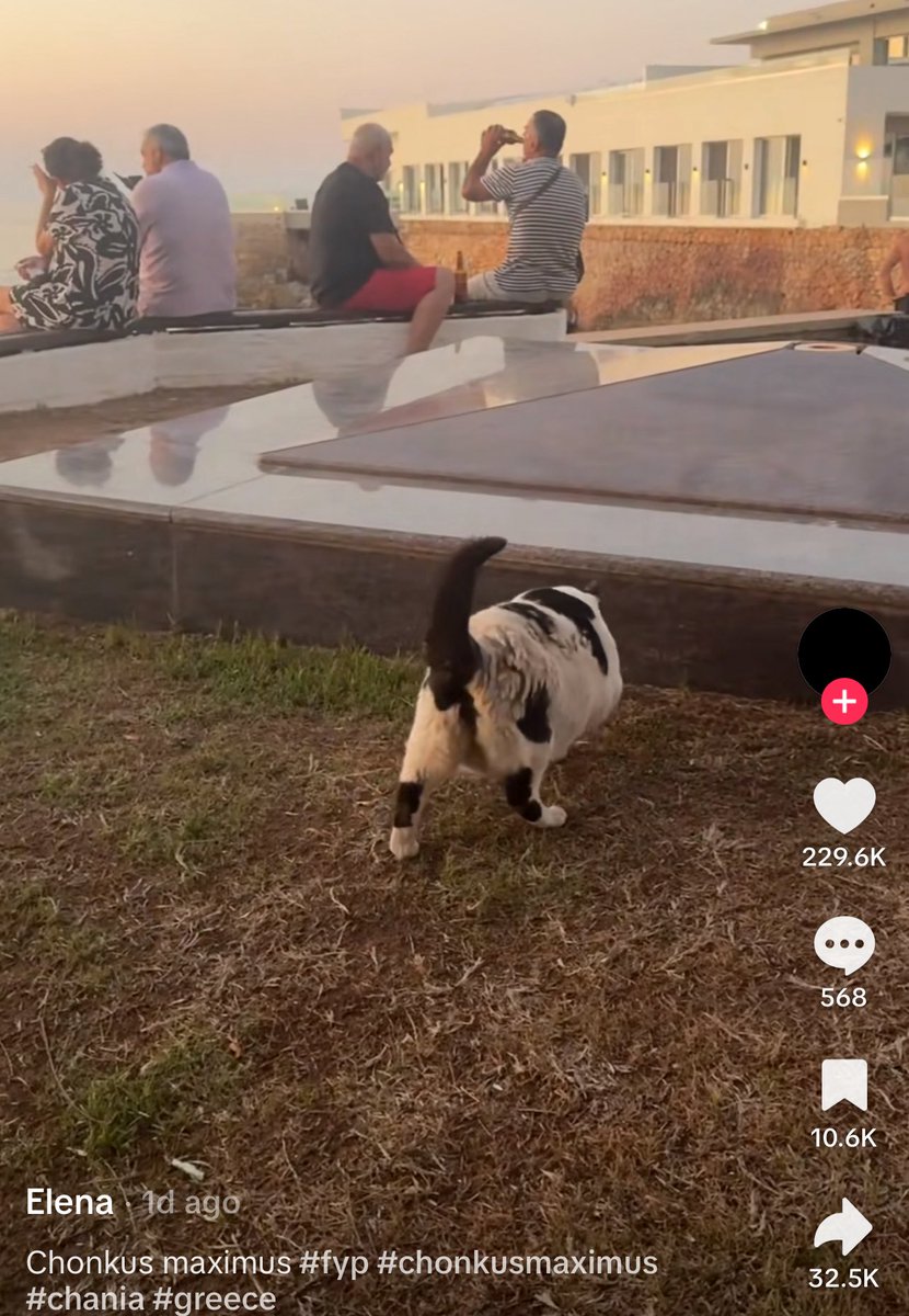 less than an hour later and 10k+ more likes.