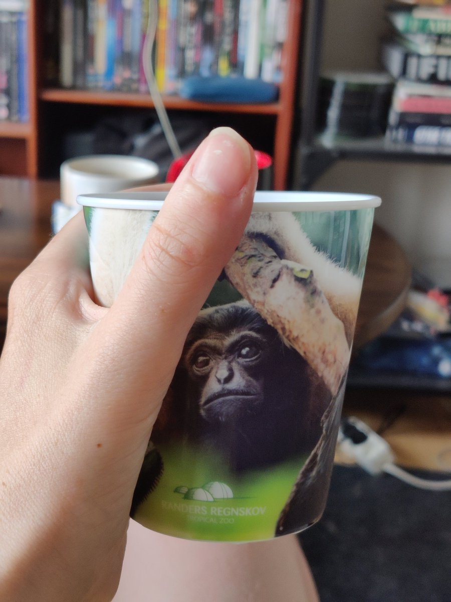 sw4mpfever's tweet image. don't mind me, just enjoying some orange juice in my little gibbon cup