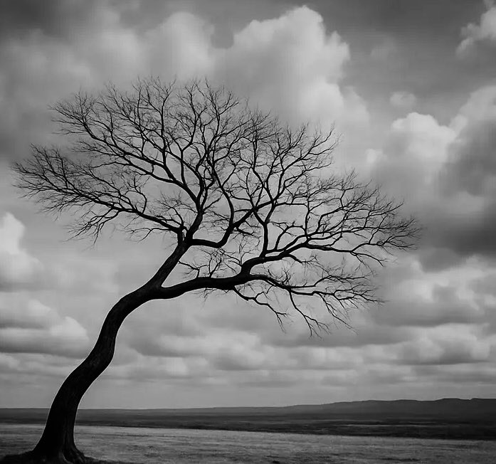 darkworld15298's tweet image. "Life is a series of fleeting moments; cherish them before they fade