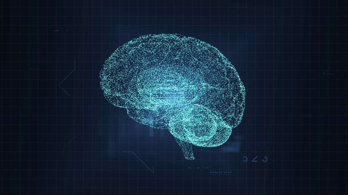 unibirm_CMH's tweet image. Join @StellenboschUni in collaboration with @unibirmingham @SussexUni on 8th September for a hybrid symposium bringing together leading experts to explore the brainstem, one of the most vital yet overlooked parts of the human brain.
Register: docs.google.com/forms/d/e/1FAI…