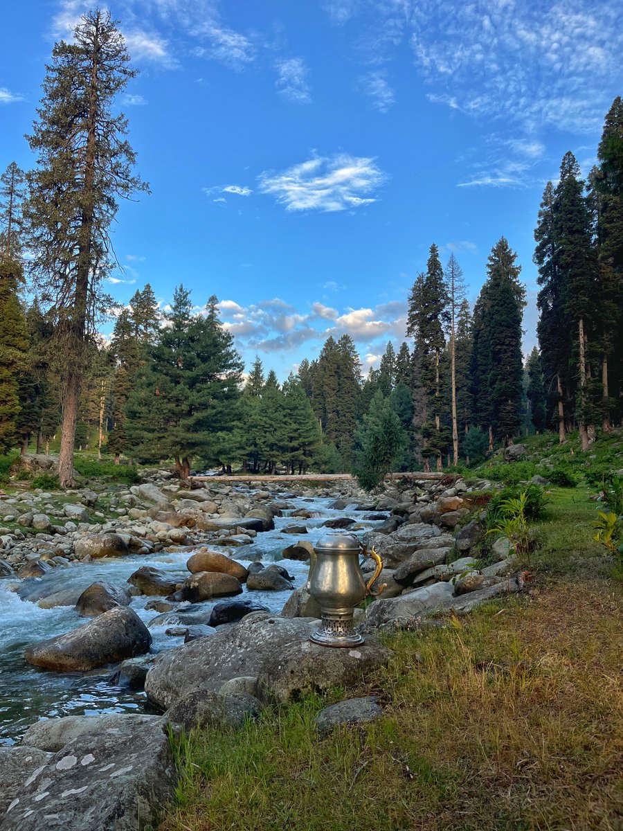 🌲🌲🌲🌲🌲🌲🏠