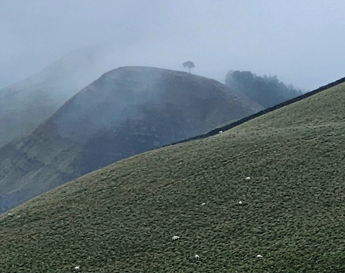 thepdviking's tweet image. We were in the cloud this morning filming a short film on the stone stack issue. I will keep pushing my agenda on this topic, but dont worry I'll not overdo it 🤣🤣#leavenotrace #thepeakdistrictviking #mamtor #castleton #stonestacking
