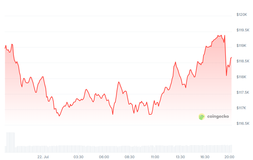 keplertor's tweet photo. 📉 Markets love shaking out the weak hands before the real moves begin.
From $116.5K lows to nearly $119.5K highs... all in one stretch.
📌 If you panicked at the bottom, you missed the top.

Real talk: Volatility isn’t risk, it’s opportunity.
Learn to ride it, not fear it. https://t.co/mYSvRD5jOK