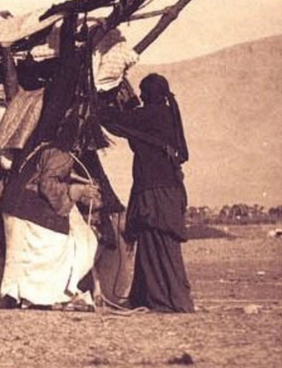 جوان🇸🇦 tweet media