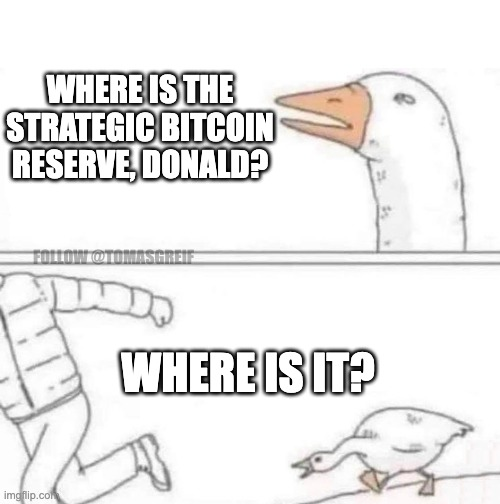 TomasGreif's tweet image. It's been 4 months since Trump signed the US Strategic Bitcoin Reserve Executive Order.