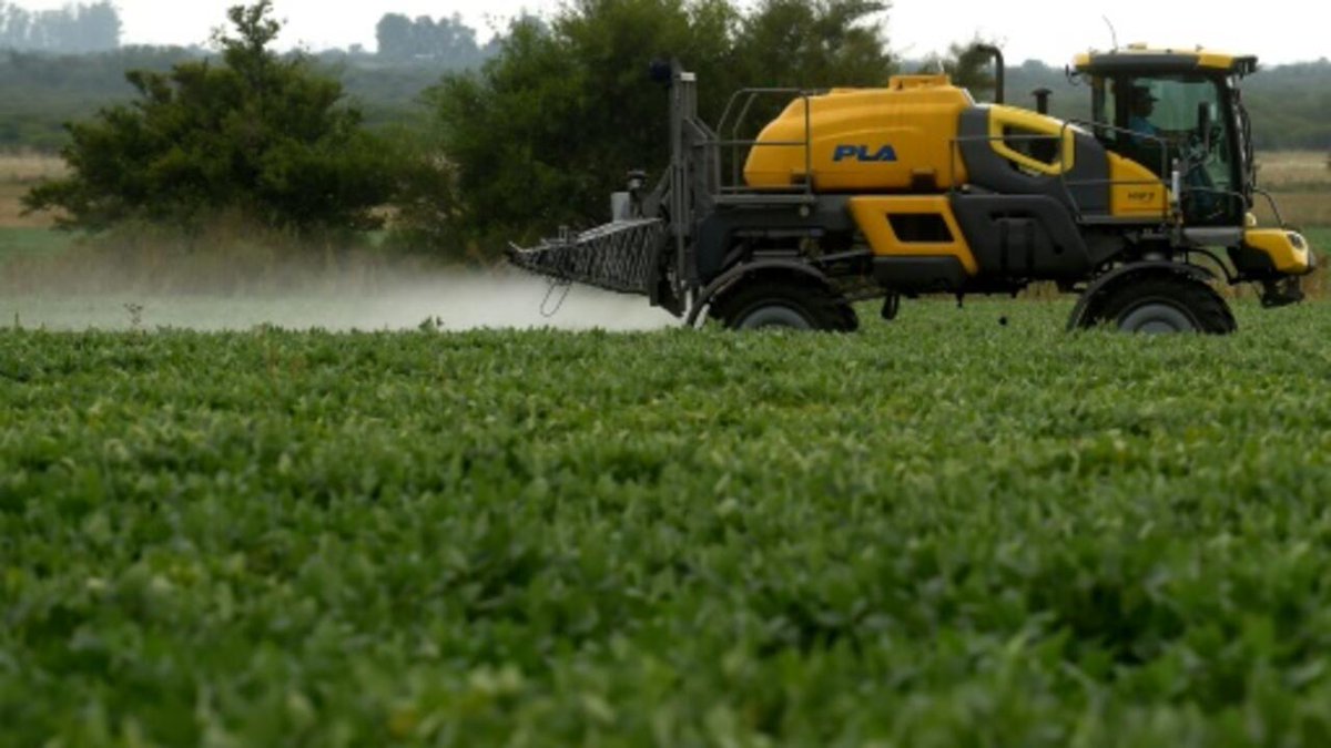 Estudio argentino advierte sobre la nocividad para las mujeres embarazadas de los pesticidas y su ‘efecto cóctel’ rfi.my/BrcA.x