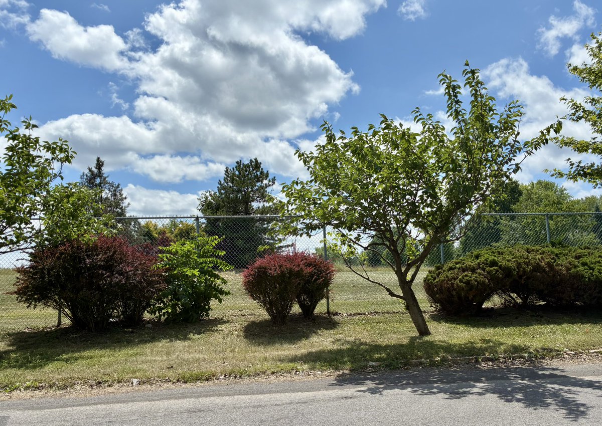 MrEd315's tweet image. Driving around the historic Love Canal area in Niagara Falls NY. A pretty big area is cordoned off by fencing to keep nosey people like me out the heart of it.