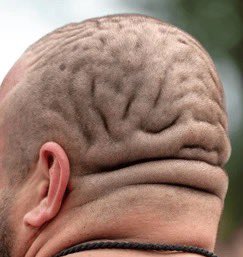 ObtainerOf's tweet image. How do I achieve this? I train head twice a week and still no gains…