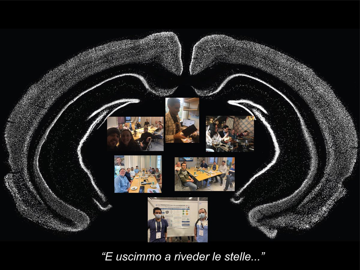 Maximiliano José Nigro (@maxnigro_neuro) on Twitter photo Best wishes to <a href="/Prime5222/">Luis Cobar</a> for his future endeavors in science. Luis is starting a very exciting position in Cambridge. We will miss him here where he has built rigs and analysis pipelines, has been a wonderful colleague and a very kind person to share the science adventure! Best wishes to <a href="/Prime5222/">Luis Cobar</a> for his future endeavors in science. Luis is starting a very exciting position in Cambridge. We will miss him here where he has built rigs and analysis pipelines, has been a wonderful colleague and a very kind person to share the science adventure!