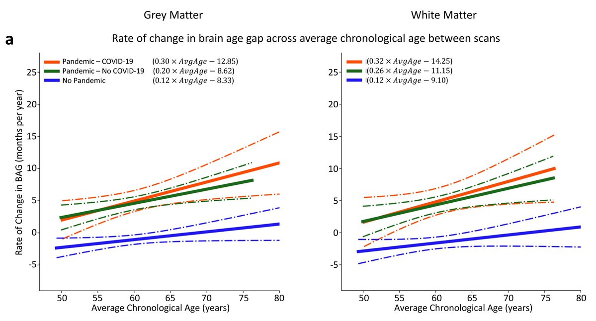 Eric Topol (@erictopol) on Twitter photo The Covid pandemic accelerated brain aging as seen in <a href="/uk_biobank/">UK Biobank</a> paired MRI, 2 cohorts
nature.com/articles/s4146… The Covid pandemic accelerated brain aging as seen in <a href="/uk_biobank/">UK Biobank</a> paired MRI, 2 cohorts
nature.com/articles/s4146…