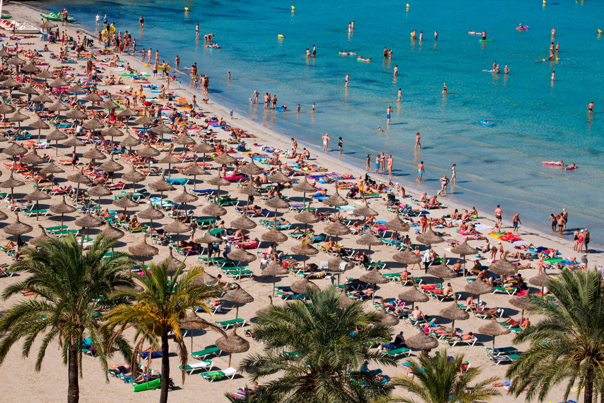 MirrorBreaking_'s tweet image. Holiday hotspot 'shark attack' as tourist savaged and popular beach evacuated
mirror.co.uk/news/world-new…