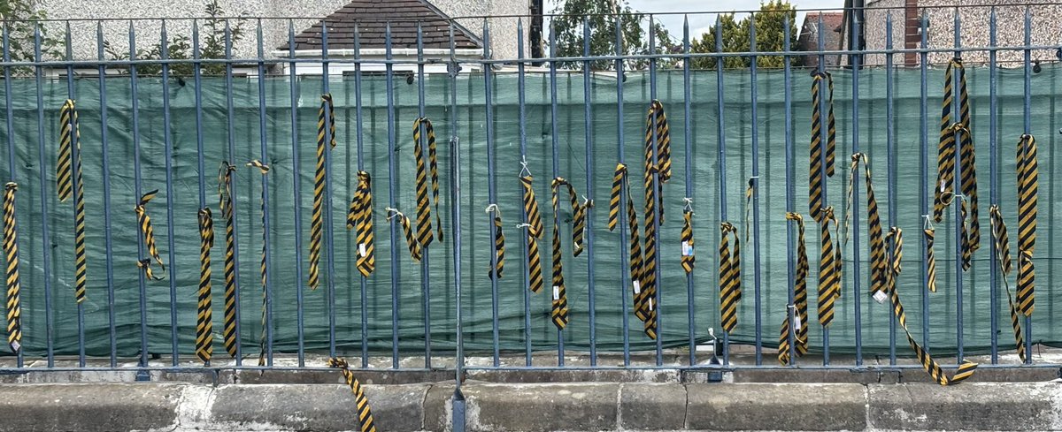 Higher Bebington Junior School tweet media