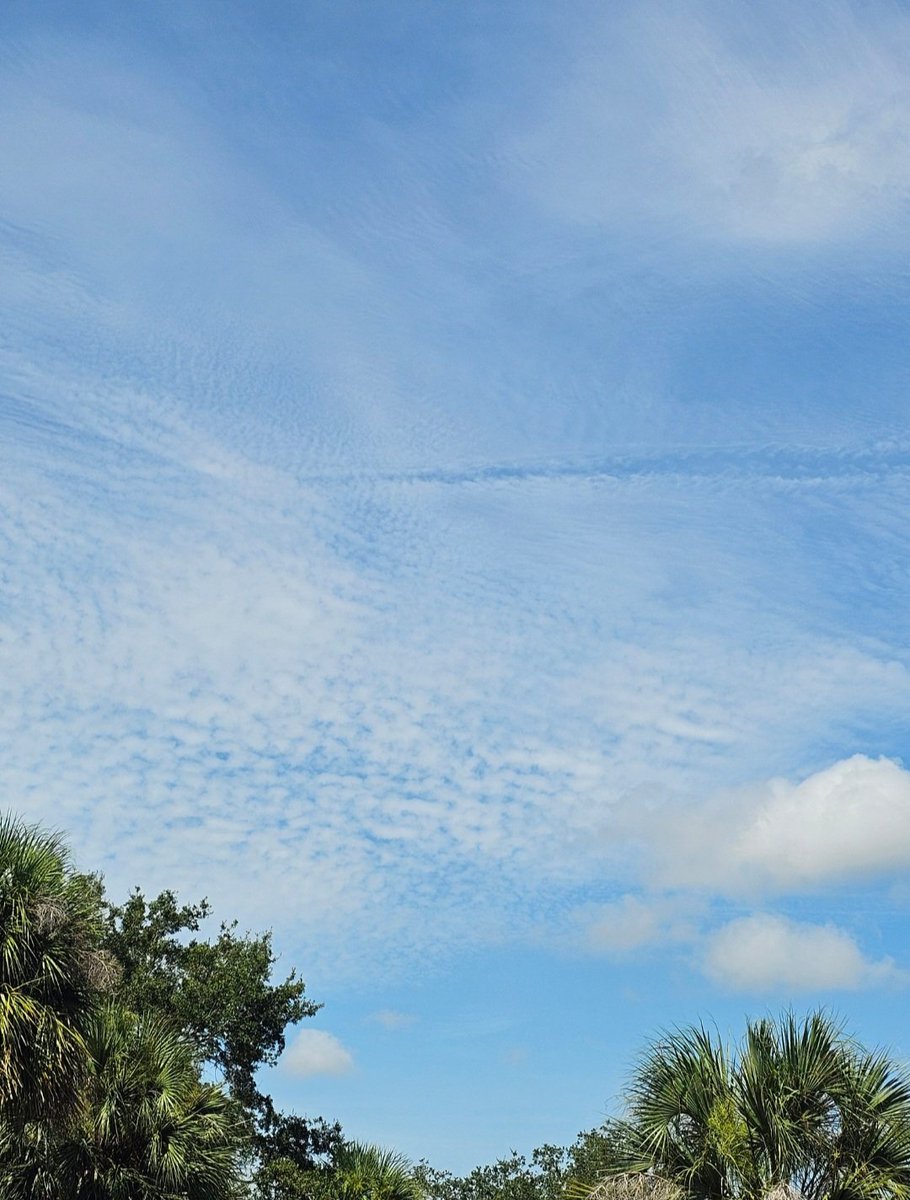 b_gimpl1234's tweet image. Melbourne FL. Negative trail ripping through the microwaved clouds.