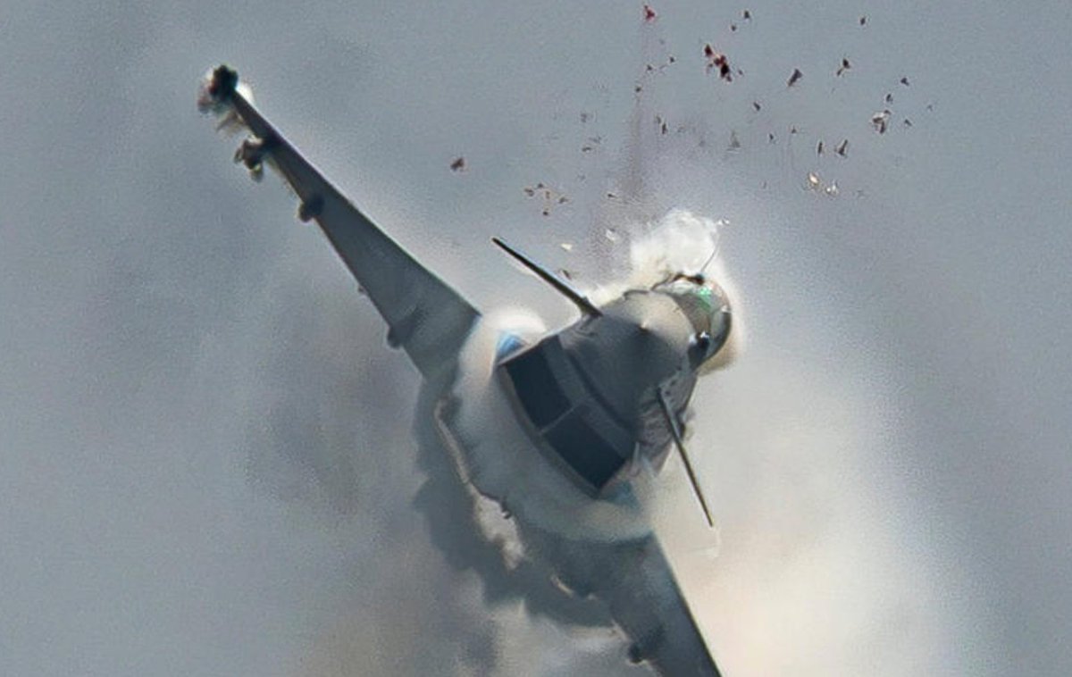 RhinoFive's tweet image. strong &apos;end of Jaws&apos; vibe to Eurofighter v seagull fight.......
