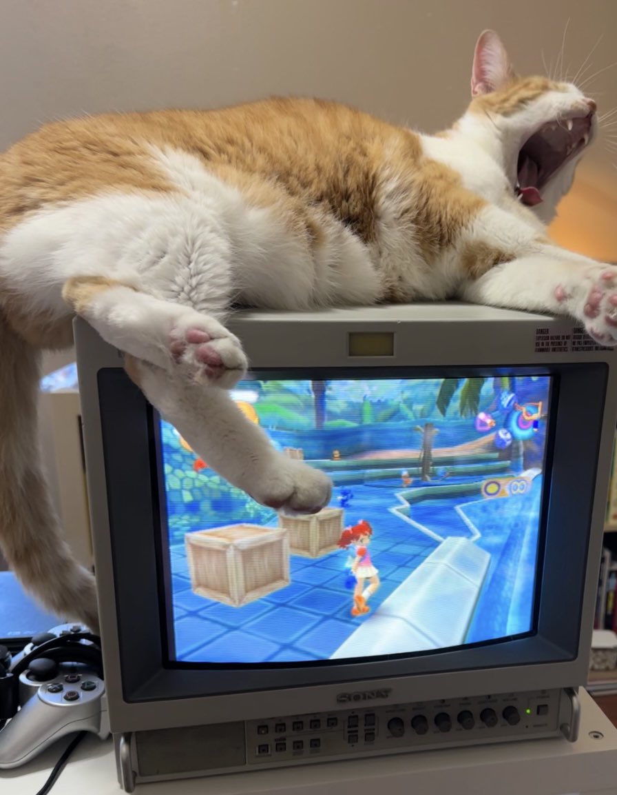 crt_bot2's tweet image. 
