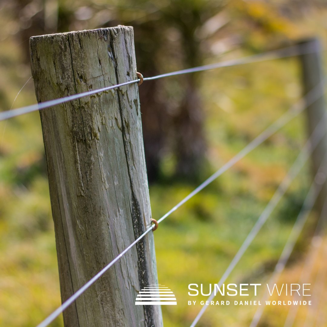 SunsetWire's tweet photo. Our drawn wire is built for versatility—used in everything from wire fencing to countless industrial and commercial applications. When it comes to possibilities, the options are endless.

👉 https://t.co/cQGL4UfC5c

#SunsetWire #DrawnWire #WireFencing #WireSolutions #WireExperts https://t.co/8Ep61NTxWp
