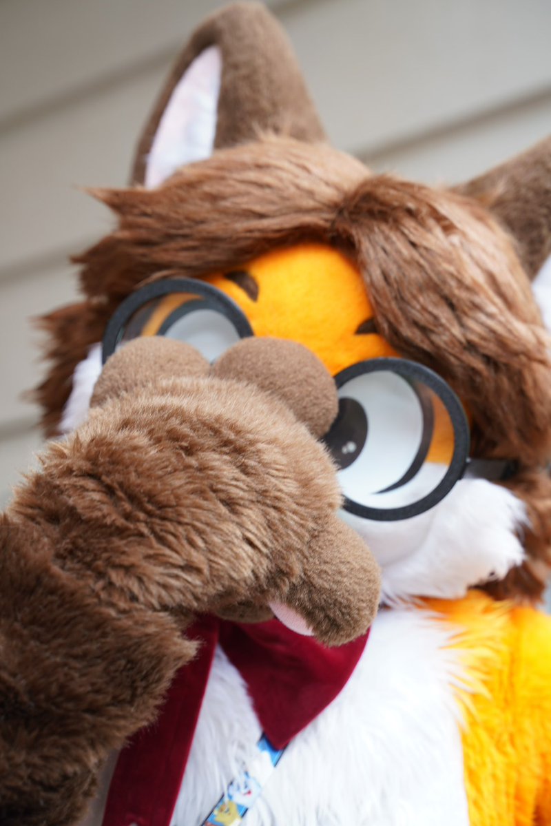 FairfoxLibrary's tweet image. *snorts* my glasses keep falling down! 🤓